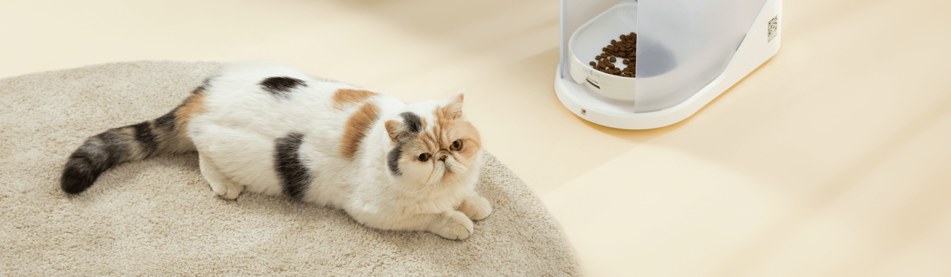 HVON Smart Multi-Cat Feeding Station