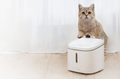 HVON Cordless Smart Pet Water Fountain 2