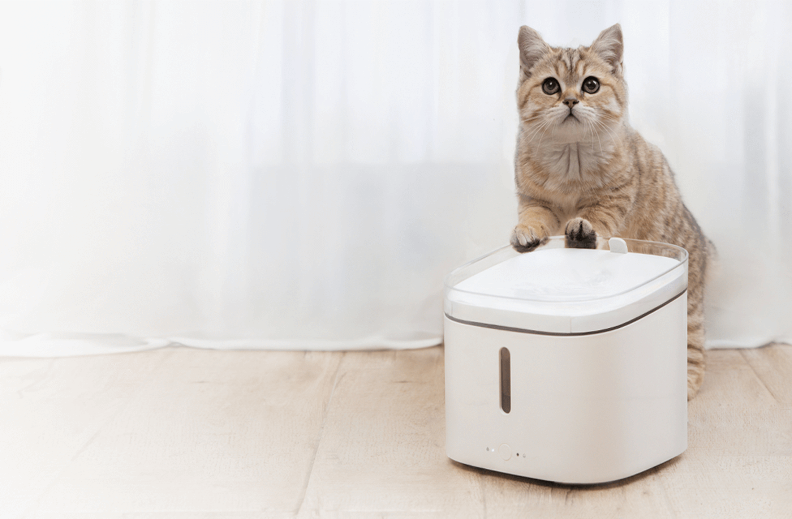 HVON Cordless Smart Pet Water Fountain 2